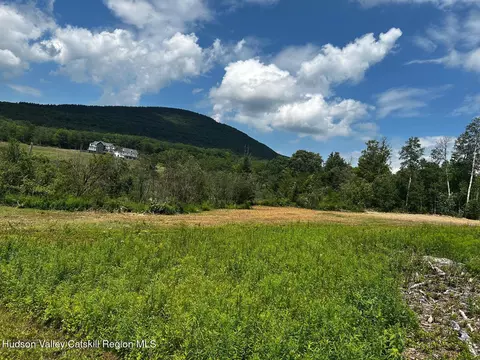 0 Mitchell Hollow Rd, Windham, NY 12496 photo 17