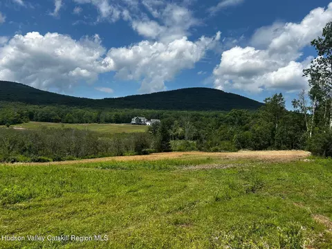 0 Mitchell Hollow Rd, Windham, NY 12496 photo 15