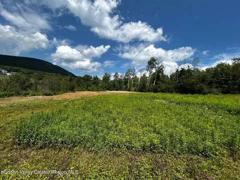 0 Mitchell Hollow Rd, Windham, NY 12496 photo 18
