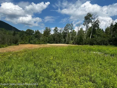 0 Mitchell Hollow Rd, Windham, NY 12496 photo 16