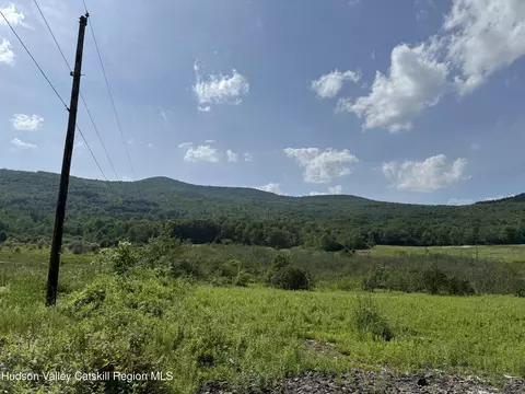 0 Mitchell Hollow Rd, Windham, NY 12496 photo 11