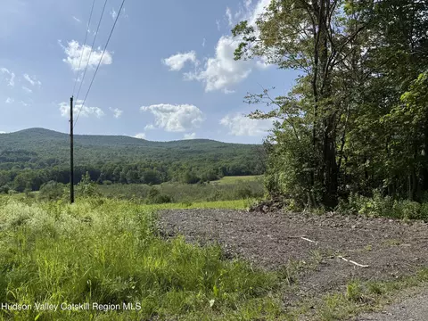 0 Mitchell Hollow Rd, Windham, NY 12496 photo 8
