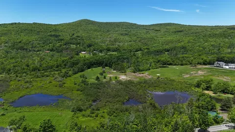 0 Mitchell Hollow Rd, Windham, NY 12496 photo 4