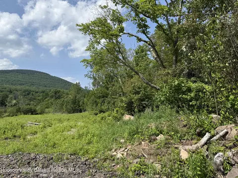 0 Mitchell Hollow Rd, Windham, NY 12496 photo 12