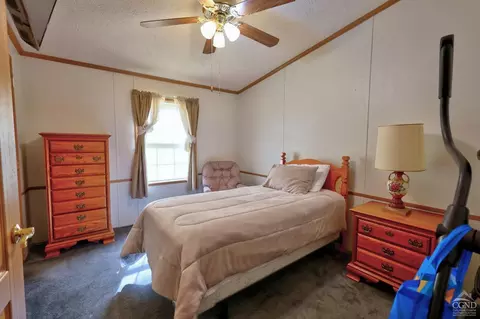 Bedroom - 368 Route 145, Cairo, NY 12413 photo 4 of 11