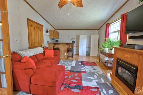 Living - 368 Route 145, Cairo, NY 12413 photo 1 of 3