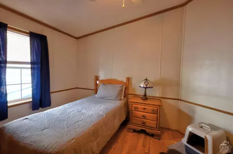 Bedroom - 368 Route 145, Cairo, NY 12413 photo 2 of 11