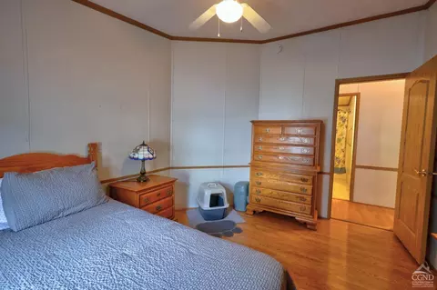 Bedroom - 368 Route 145, Cairo, NY 12413 photo 3 of 11