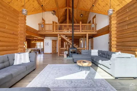 Living - 102 Thunderbird Ter, Windham, NY 12496 photo 7 of 11