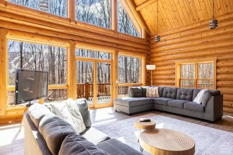 Living - 102 Thunderbird Ter, Windham, NY 12496 photo 2 of 11