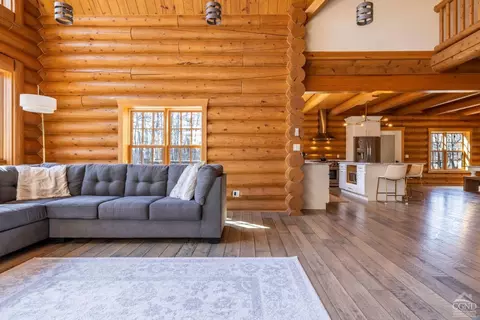 Living - 102 Thunderbird Ter, Windham, NY 12496 photo 6 of 11