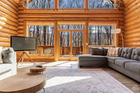 Living - 102 Thunderbird Ter, Windham, NY 12496 photo 3 of 11