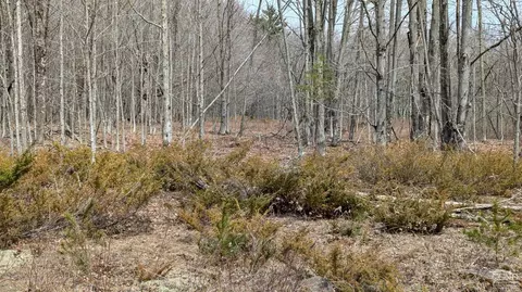 75 Windy Ln, Jewett, NY 12444