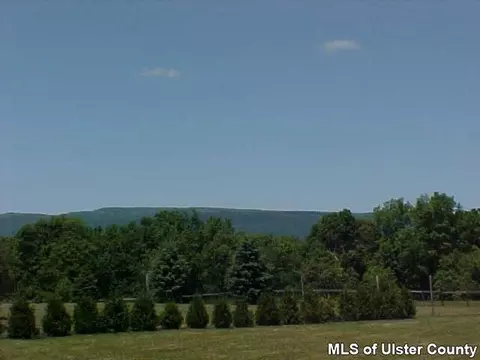 356 Birch Rd, Wallkill, NY 12589 photo 4