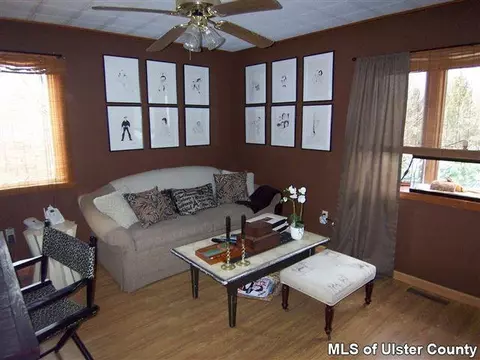 8 Risa Ln, Cottekill, NY 12419 photo 12