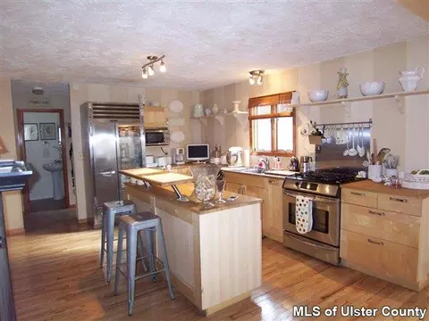 8 Risa Ln, Cottekill, NY 12419 photo 4