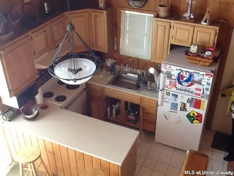 60 Maple Ave, Hunter, NY 12442 photo 5