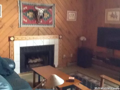 60 Maple Ave, Hunter, NY 12442 photo 3