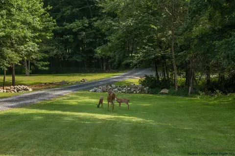 460 Decker Rd, Wallkill, NY 12589 photo 3