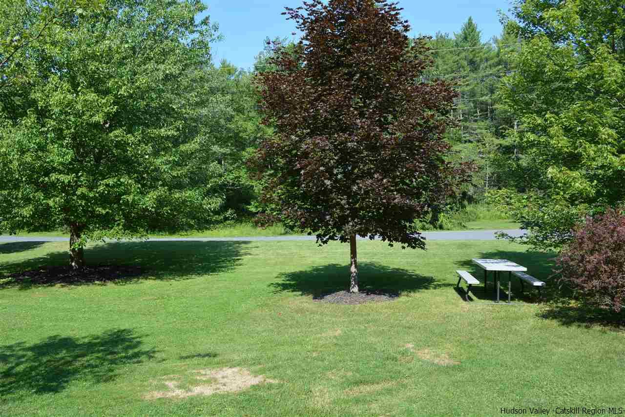 351 South Rd, Ruby, NY 12475 photo 22