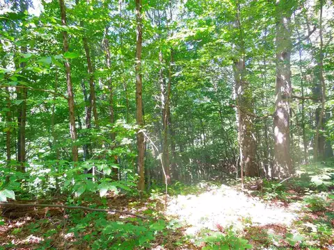 22 Washington Loop, Plattekill, NY 12568 photo 4
