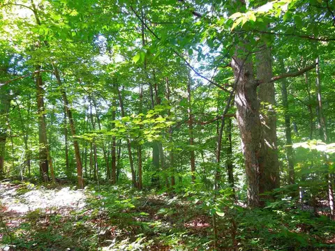 22 Washington Loop, Plattekill, NY 12568 photo 2