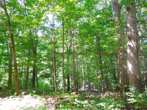 22 Washington Loop, Plattekill, NY 12568 photo 3