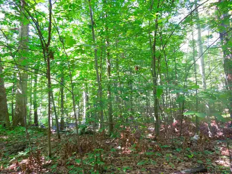 22 Washington Loop, Plattekill, NY 12568 photo 1