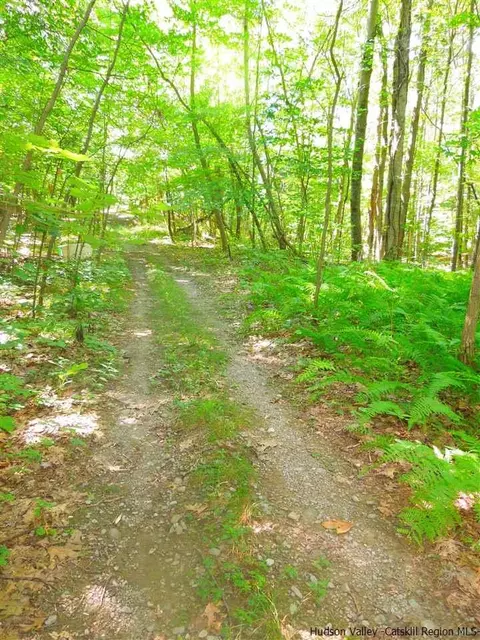22 Washington Loop, Plattekill, NY 12568 photo 6