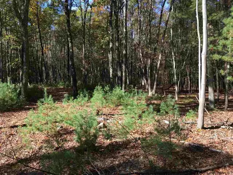 125 Ruby Rd, Kingston, NY 12401 photo 14