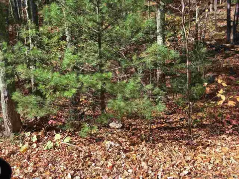 125 Ruby Rd, Kingston, NY 12401 photo 18