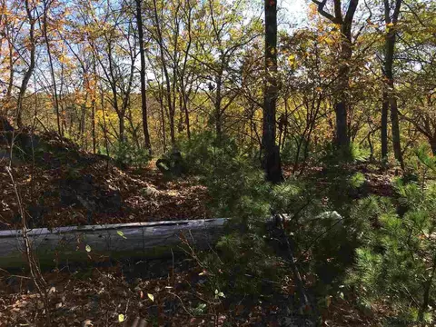 125 Ruby Rd, Kingston, NY 12401 photo 10