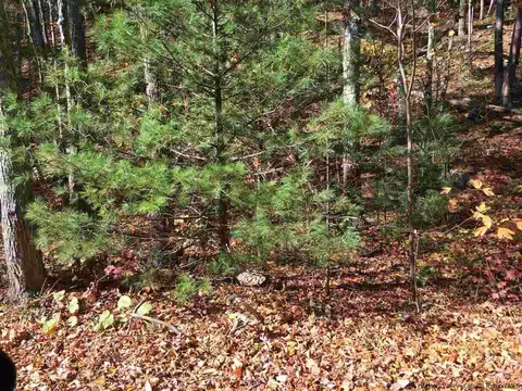 125 Ruby Rd, Kingston, NY 12401 photo 16