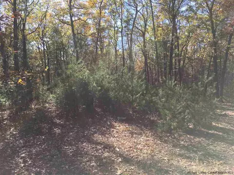 125 Ruby Rd, Kingston, NY 12401 photo 17