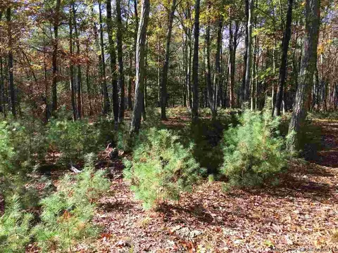 125 Ruby Rd, Kingston, NY 12401 photo 19