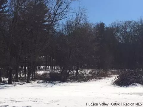 263 Cottekill Rd, Cottekill, NY 12419 photo 25
