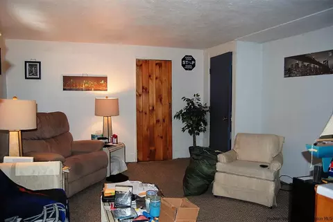 263 Cottekill Rd, Cottekill, NY 12419 photo 4
