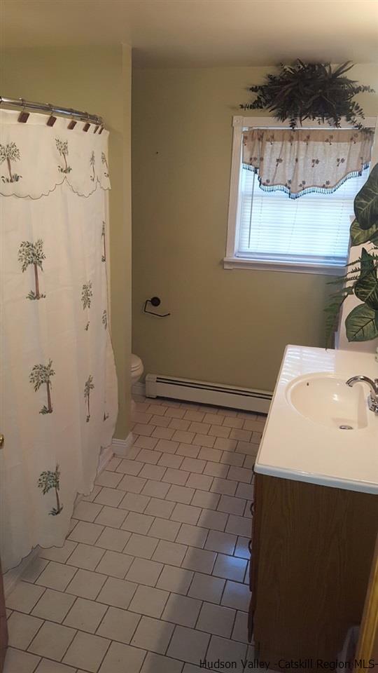 11 Maple Ave, Cairo, NY 12413 photo 20