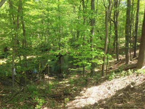 234 Knoth Rd, Wallkill, NY 12589 photo 32
