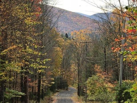61 Cross Patch Rd, Willow, NY 12495 photo 28