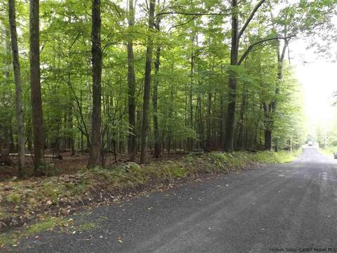61 Cross Patch Rd, Willow, NY 12495 photo 29