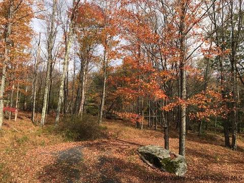 61 Cross Patch Rd, Willow, NY 12495 photo 3