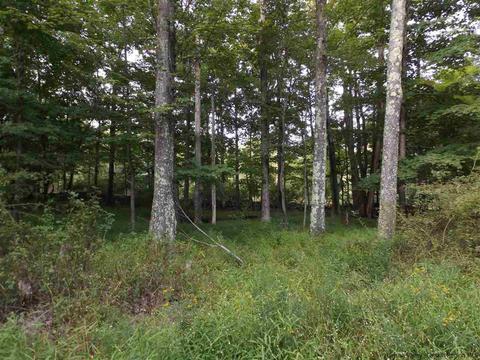 61 Cross Patch Rd, Willow, NY 12495 photo 22
