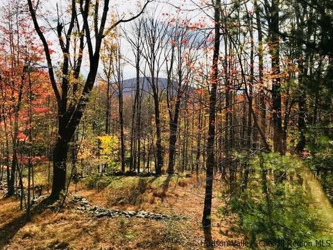 61 Cross Patch Rd, Willow, NY 12495 photo 2