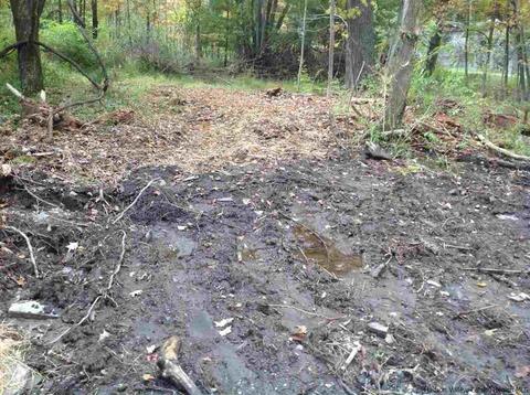84 Sheldon Hill Rd, Olivebridge, NY 12461 photo 2