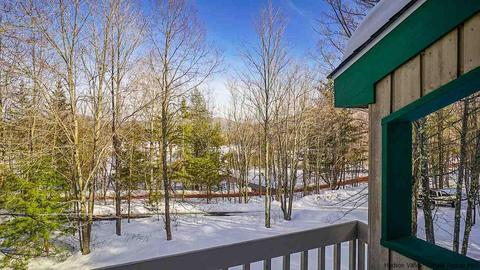 18 Homestead, Windham, NY 12496 photo 31