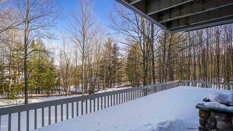 18 Homestead, Windham, NY 12496 photo 30