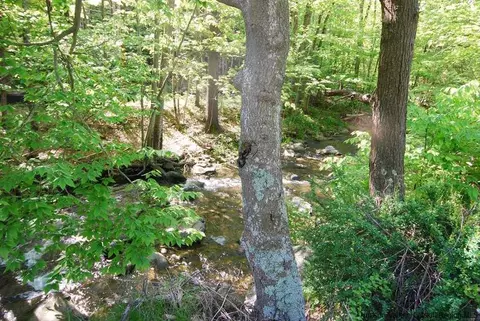 77 Silver Holw, Willow, NY 12495 photo 19