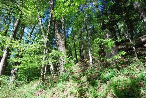 77 Silver Holw, Willow, NY 12495 photo 3