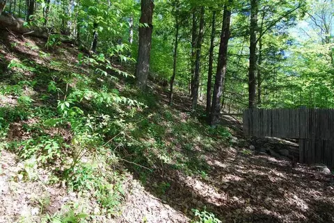 77 Silver Holw, Willow, NY 12495 photo 5